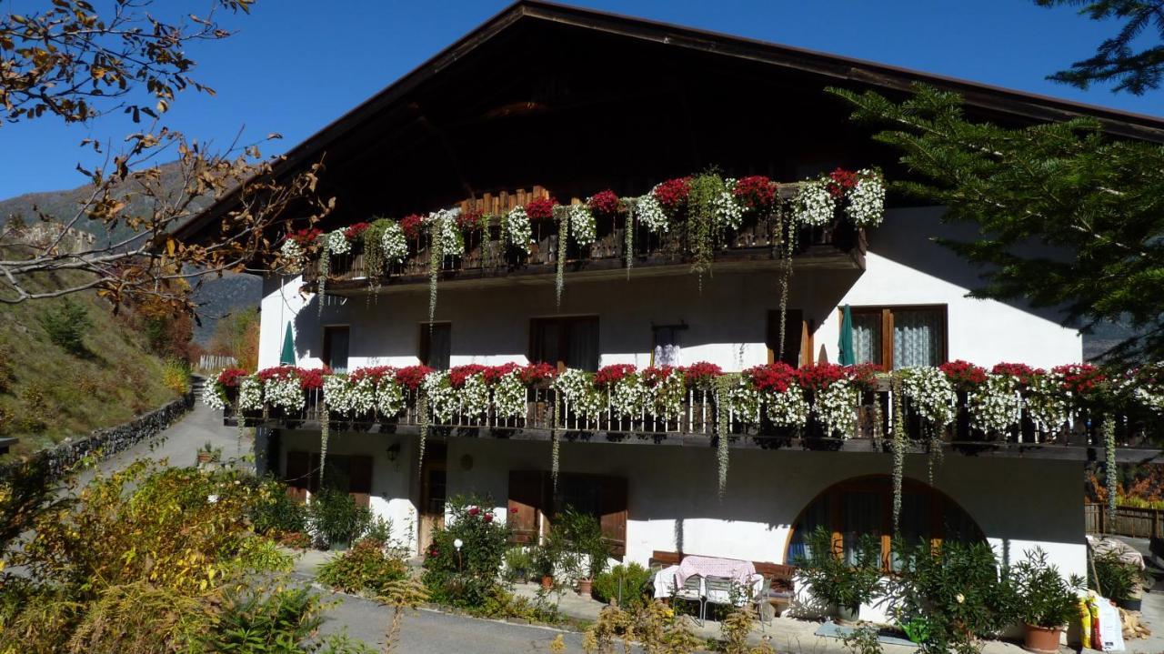 Schlosshof Zu Montani Morter Εξωτερικό φωτογραφία