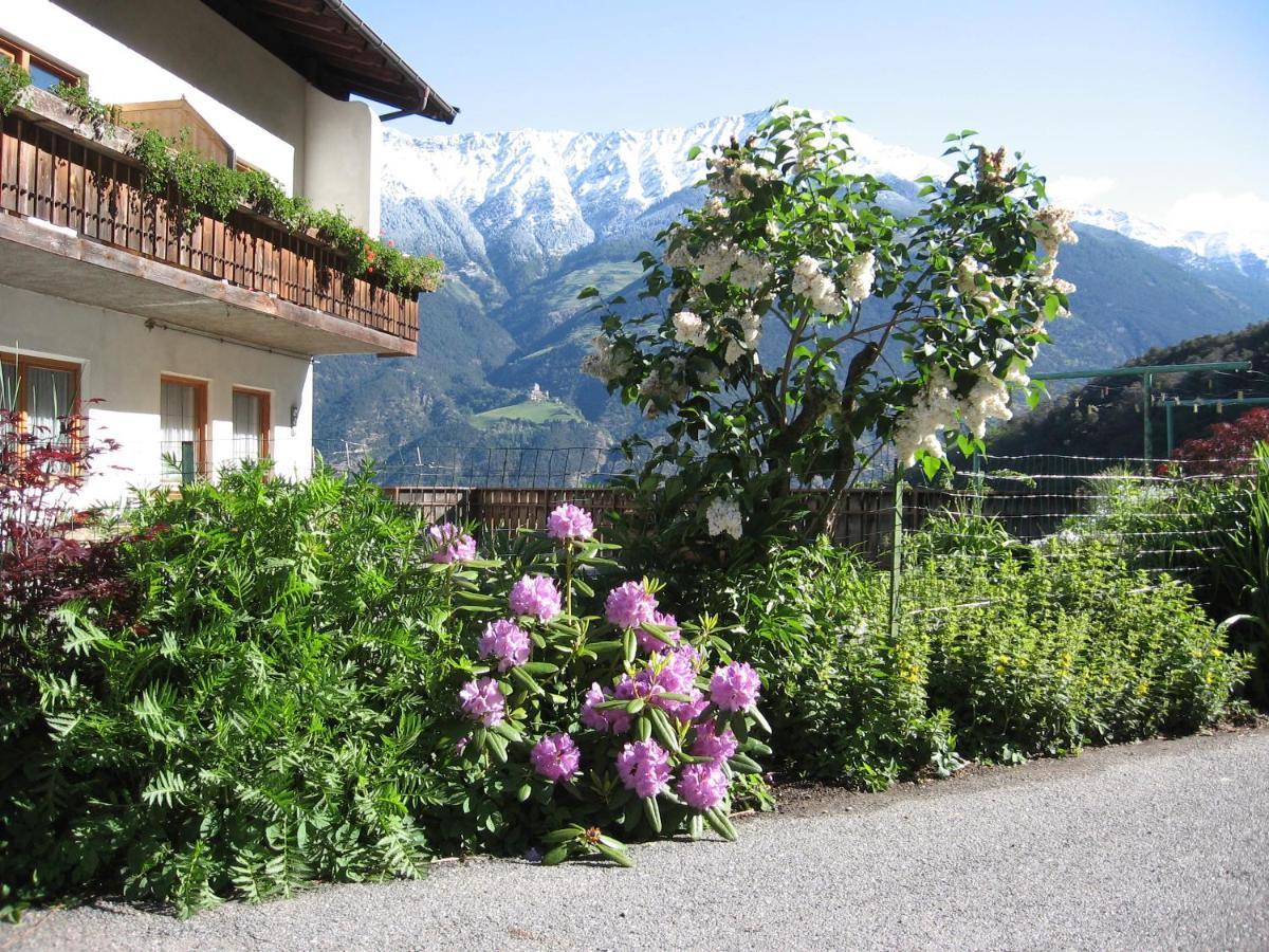 Schlosshof Zu Montani Morter Εξωτερικό φωτογραφία